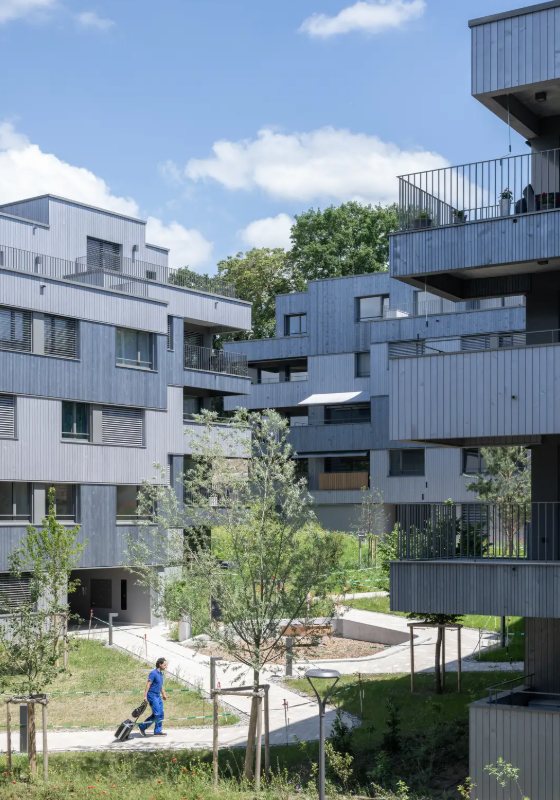Arbora